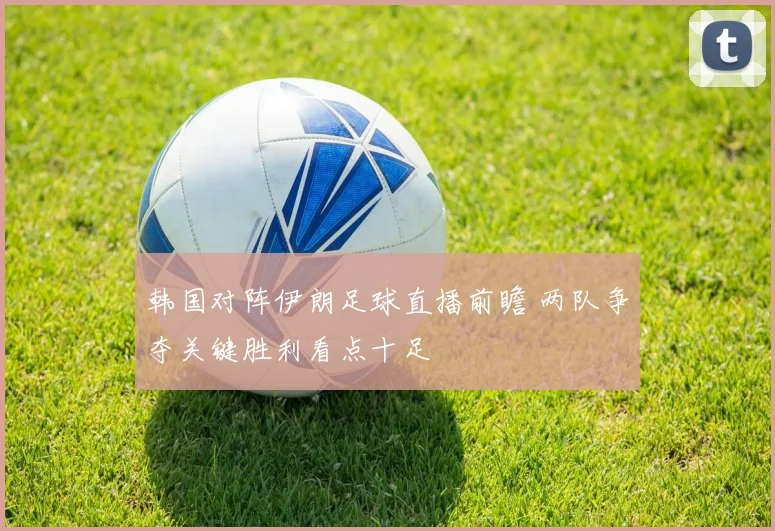 韩国对阵伊朗足球直播前瞻 两队争夺关键胜利看点十足