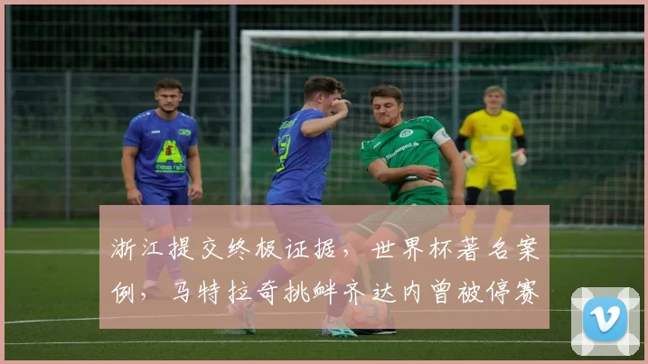 浙江提交终极证据,世界杯著名案例,马特拉奇挑衅齐达内曾被停赛