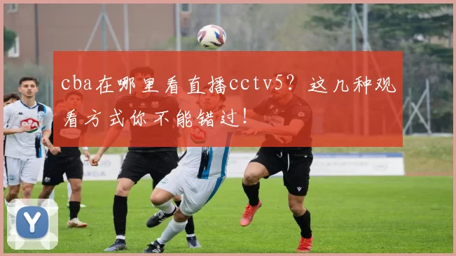 cba在哪里看直播cctv5？这几种观看方式你不能错过！