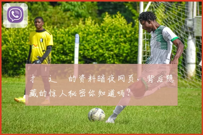 扌喿辶畐的资料暗夜网页，背后隐藏的惊人秘密你知道吗？